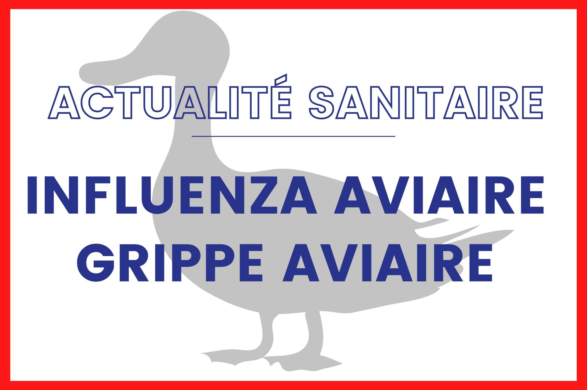 Influenza aviaire